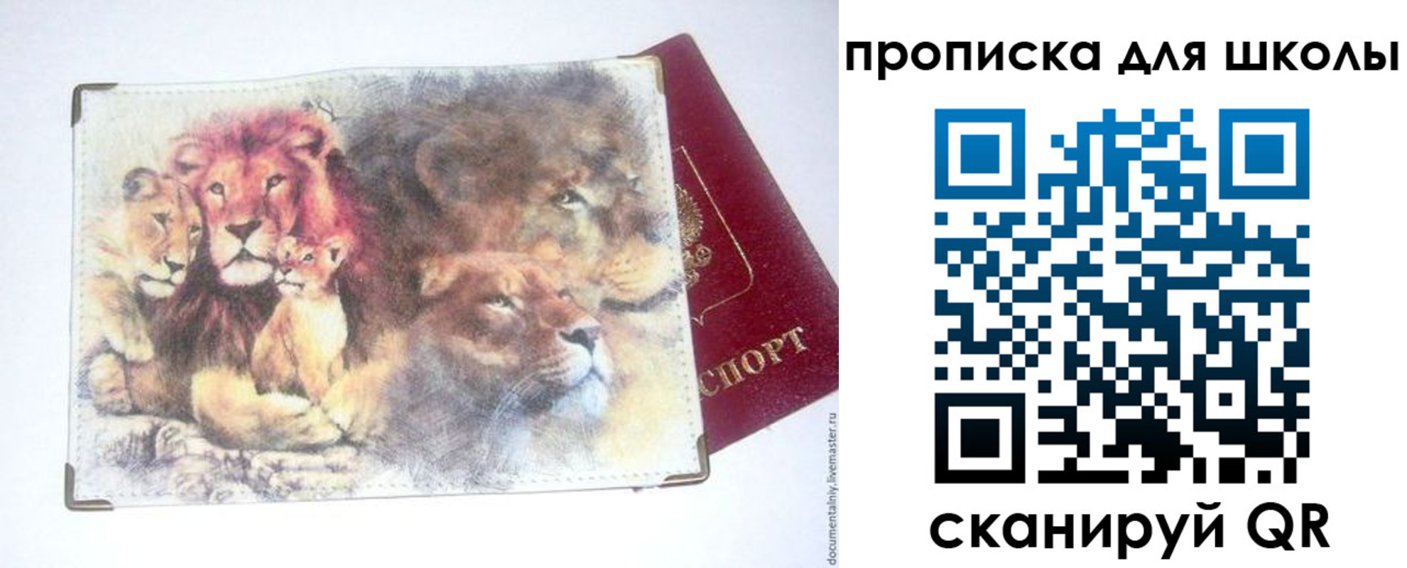 временная регистрация гарантия в Гае